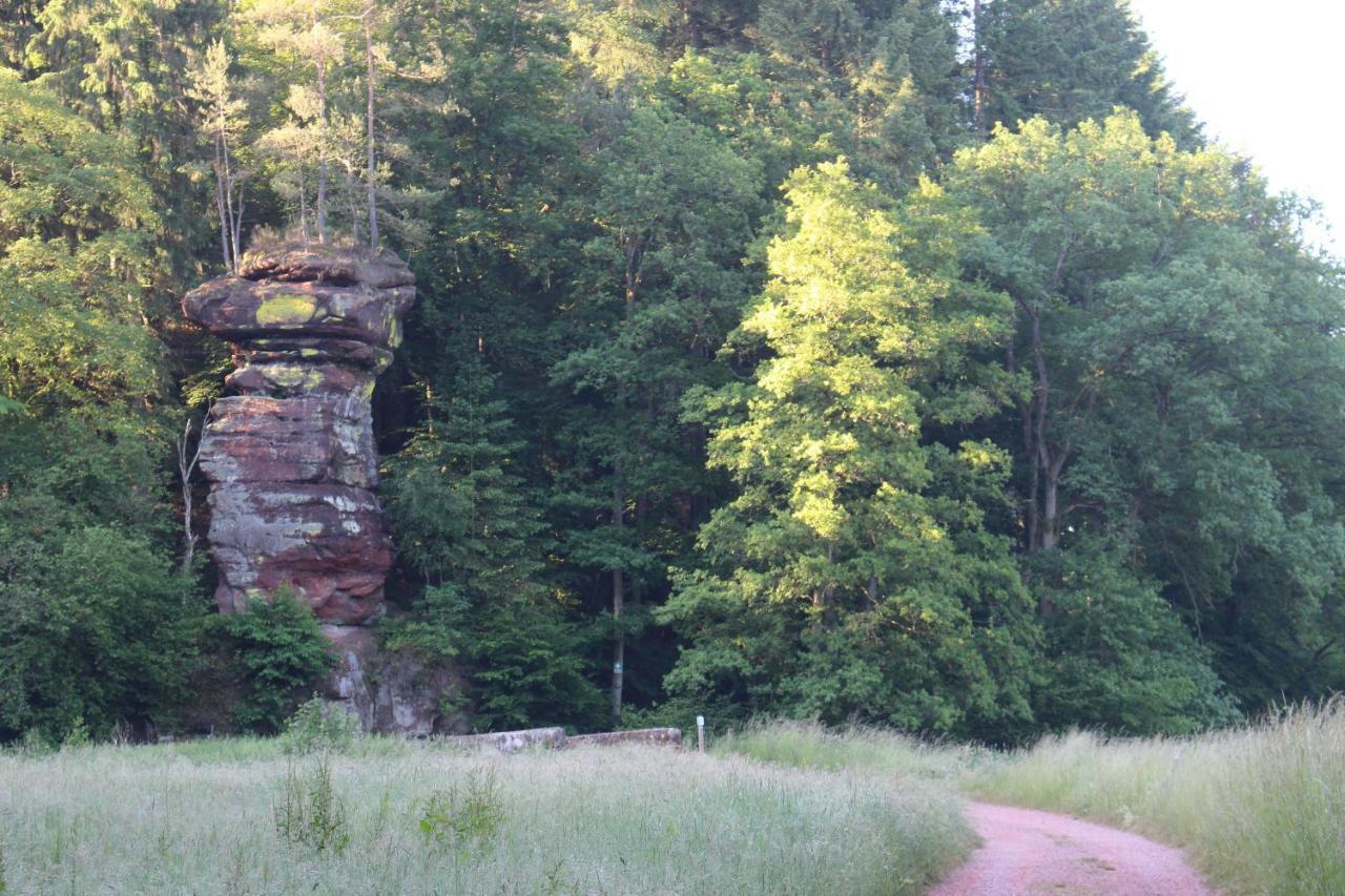 Gaestehaus Herrenmuehle Freudenburg  Esterno foto