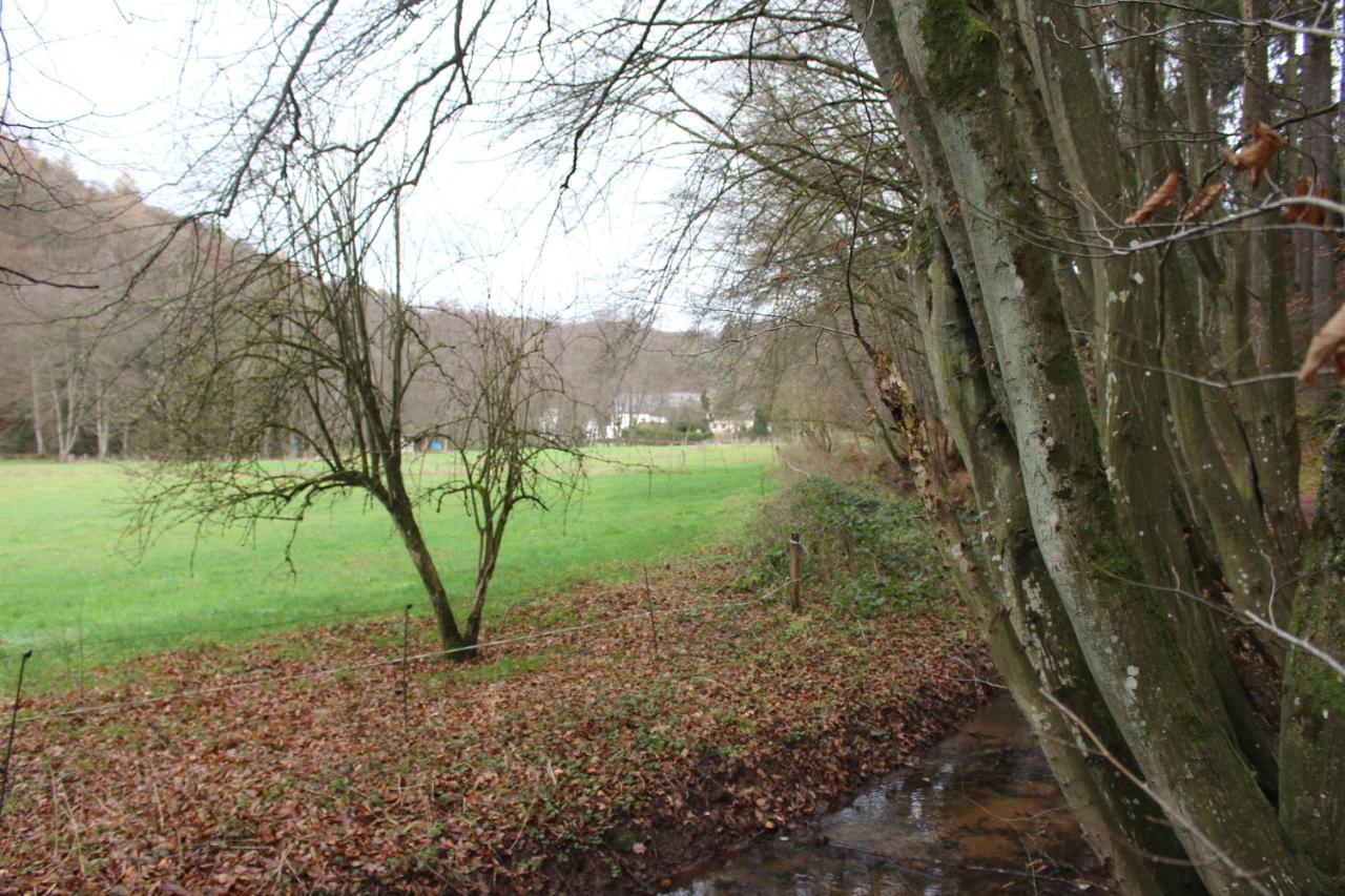 Gaestehaus Herrenmuehle Freudenburg  Esterno foto