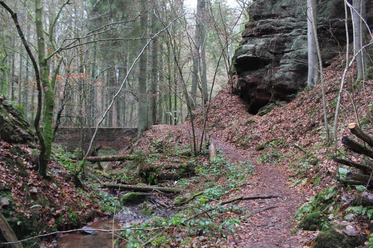 Gaestehaus Herrenmuehle Freudenburg  Esterno foto
