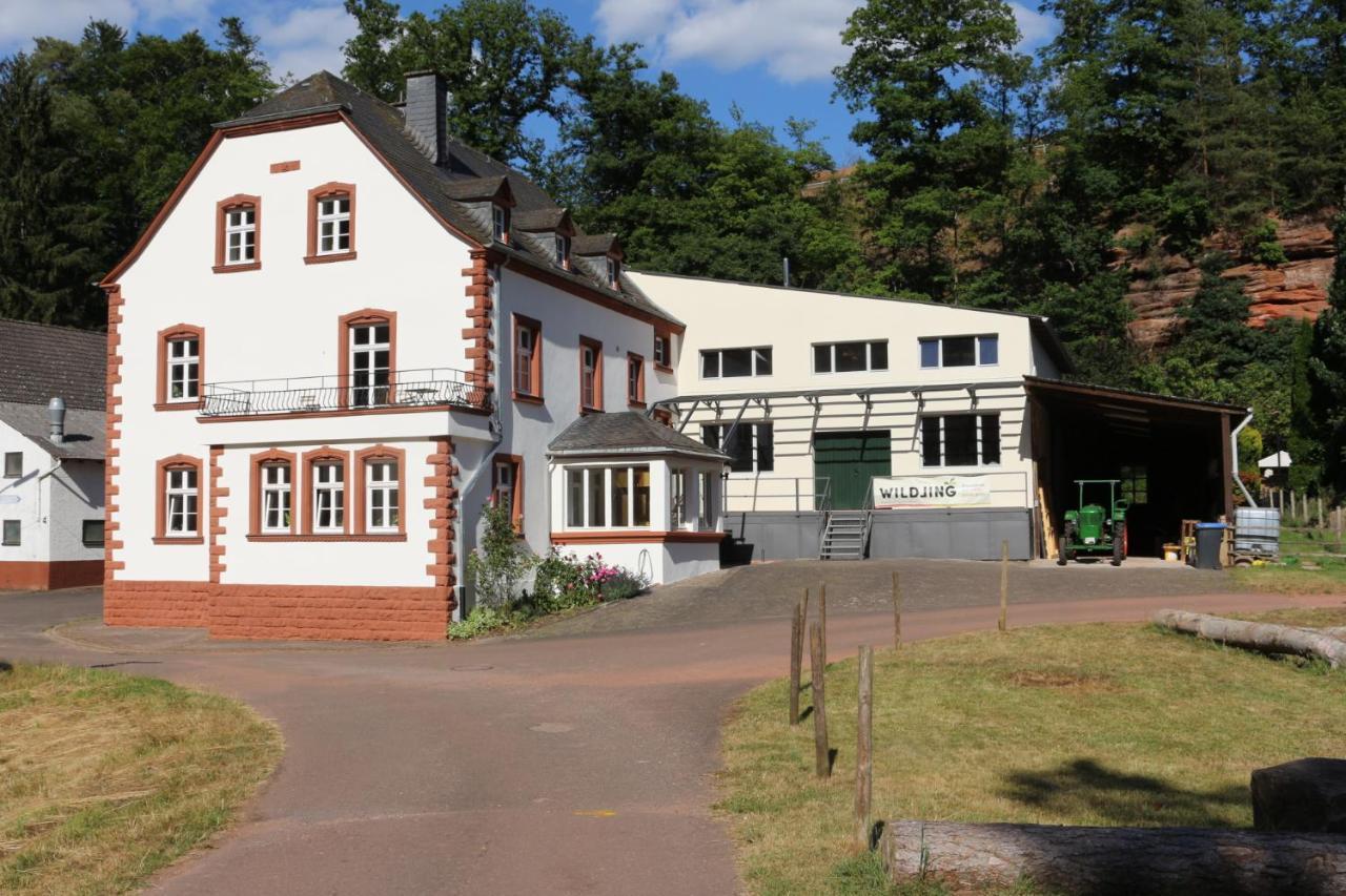 Gaestehaus Herrenmuehle Freudenburg  Esterno foto